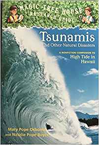 Tsunamis and Other Natural Disasters (