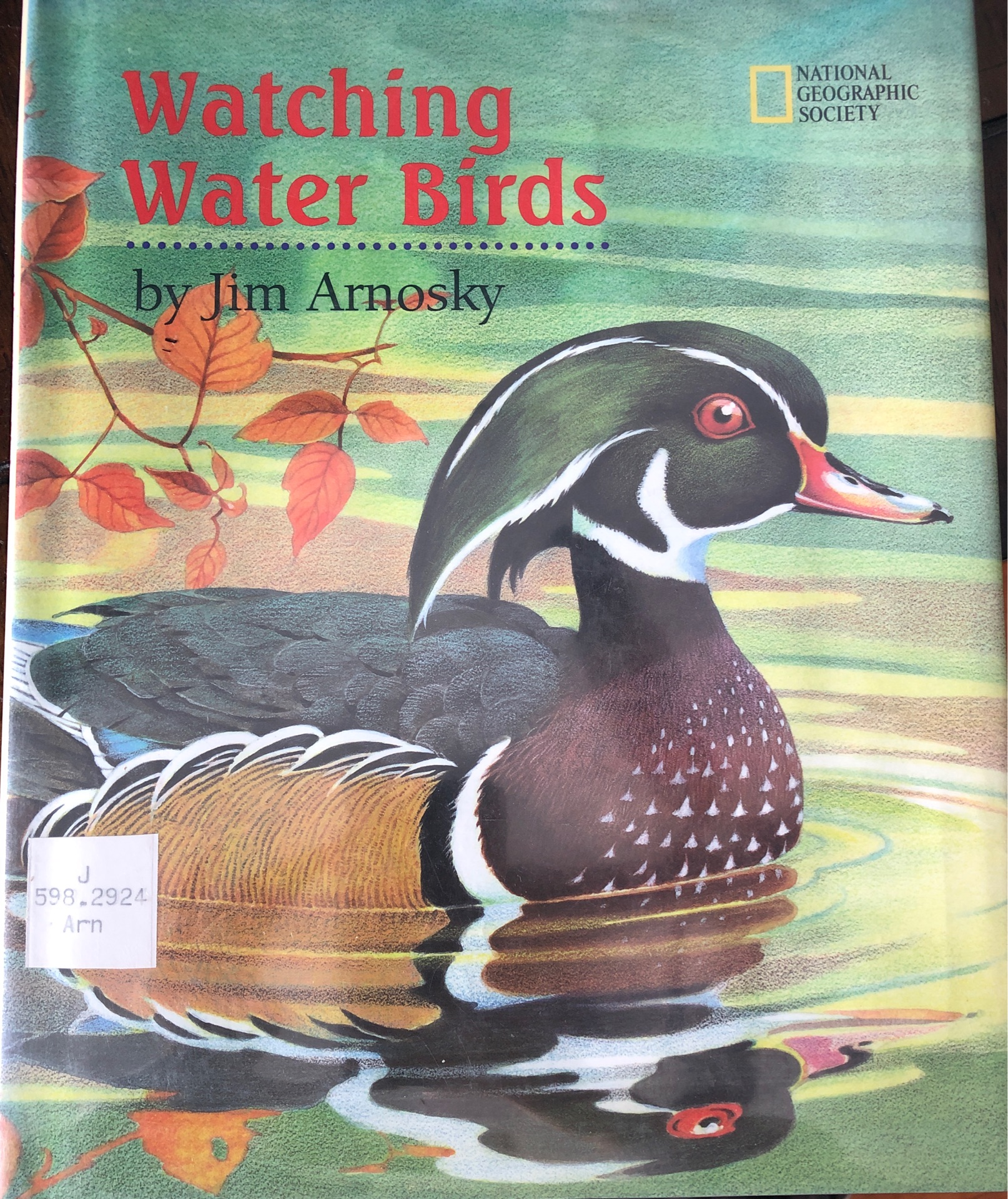 Watching Water Birds
