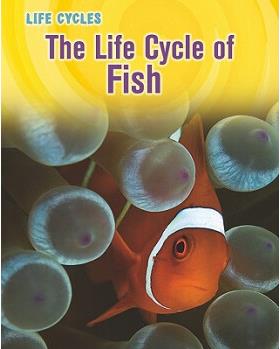 The Life Cycle of Fish (Life Cycles (H