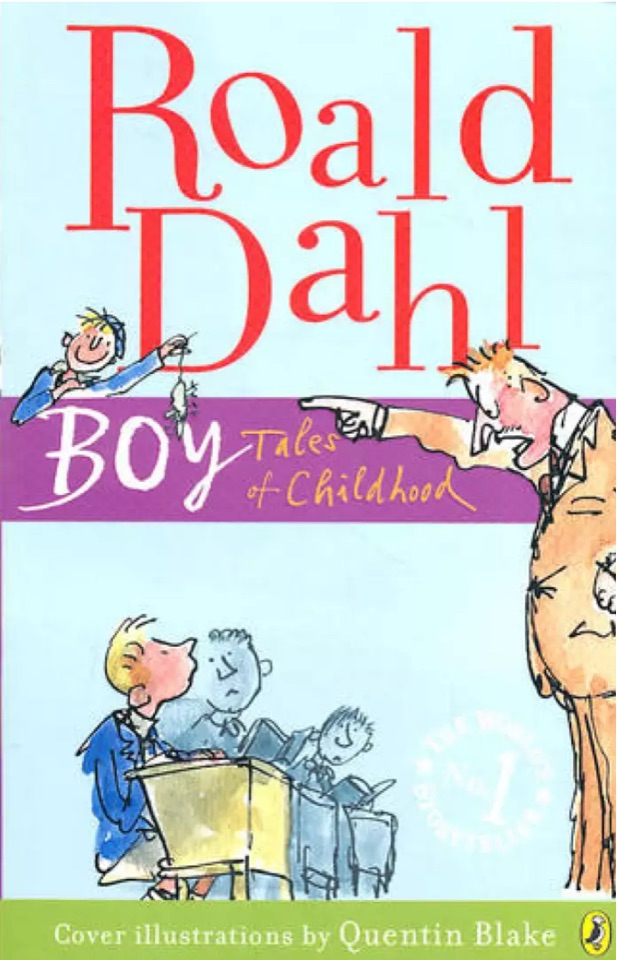 Boy: Tales of Childhood