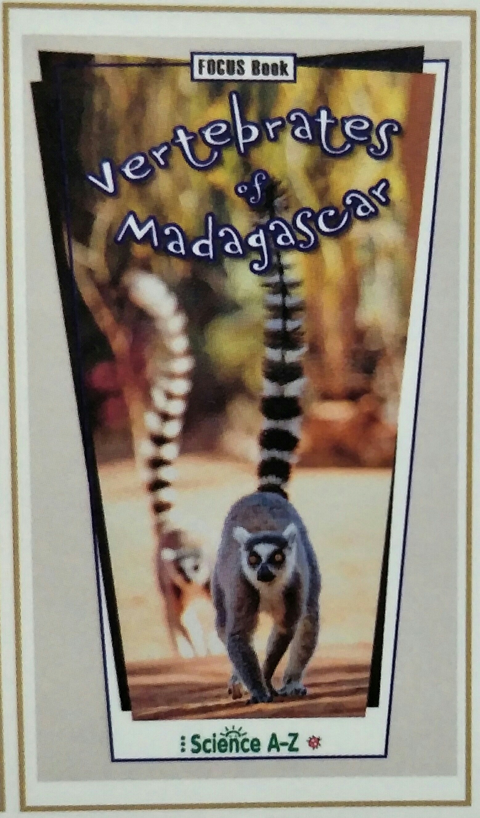 Vertebrates of Madagasear
