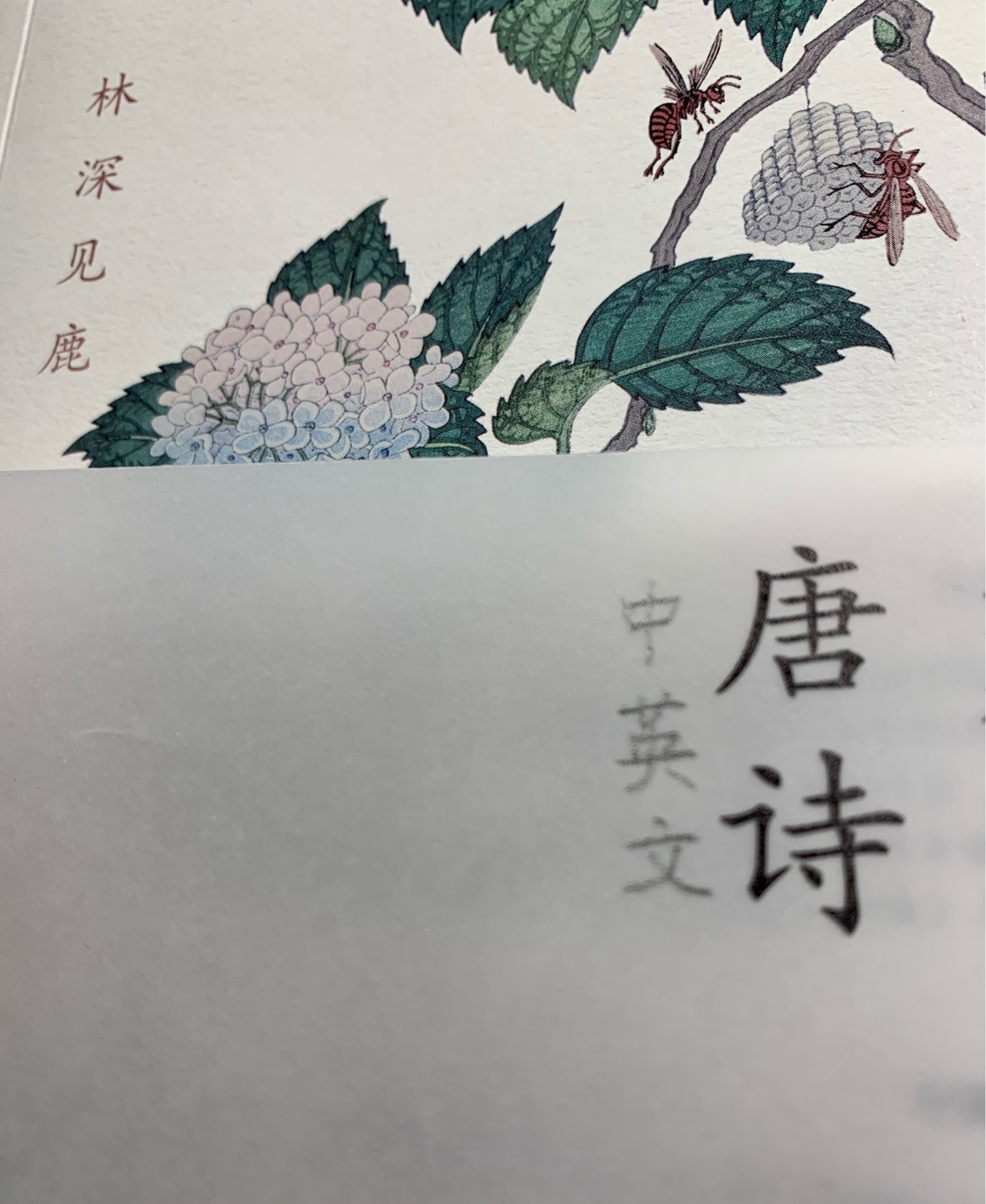 唐诗中英文