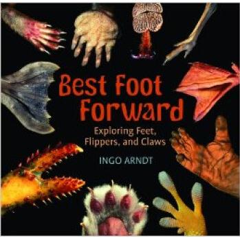 Best Foot Forward: Exploring Feet, Fli