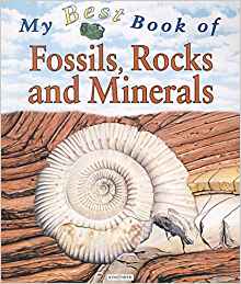 My Best Book of Fossils, Rocks and Min