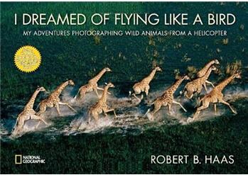 I Dreamed of Flying Like a Bird  [7-10