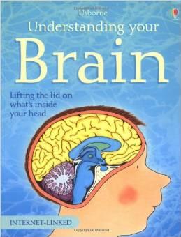 Understanding Your Brain