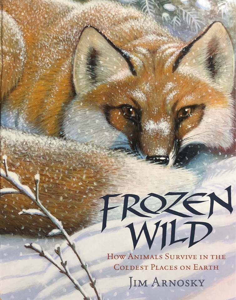 Frozen wild-how animal survive in the 