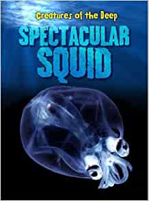 Spectacular Squid