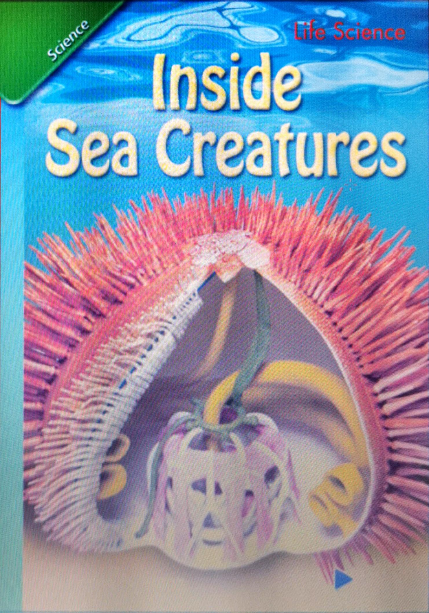 Inside Sea Creatures