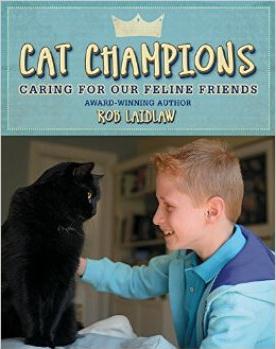 Cat Champions  Caring for Our Feline F