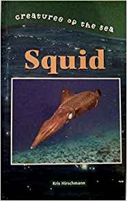 Creatures of the Sea - Squid