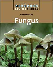 Fungi (Living Things)