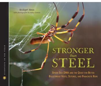 Stronger Than Steel