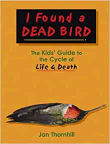 I Found a Dead Bird: The Kids' Guide t