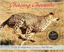 Chasing Cheetahs: The Race to Save Afr