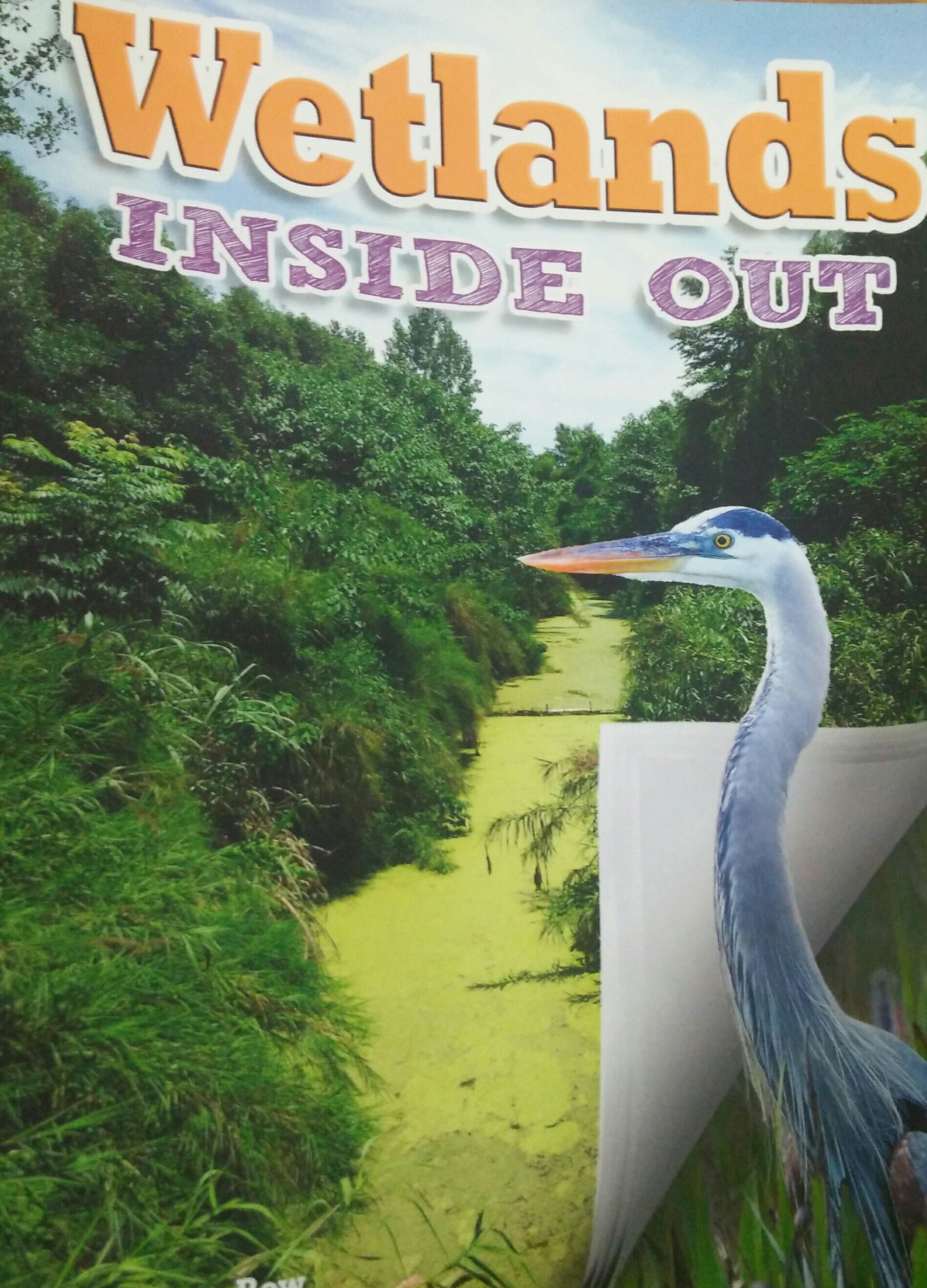 wetlands inside out