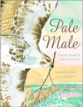 Pale Male: Citizen Hawk of New York Ci