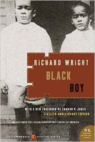 Black Boy: A Record of Childhood and Y