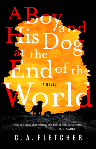 A Boy and His Dog at the End of the Wo