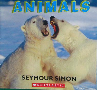 See in 3D Polar Animals