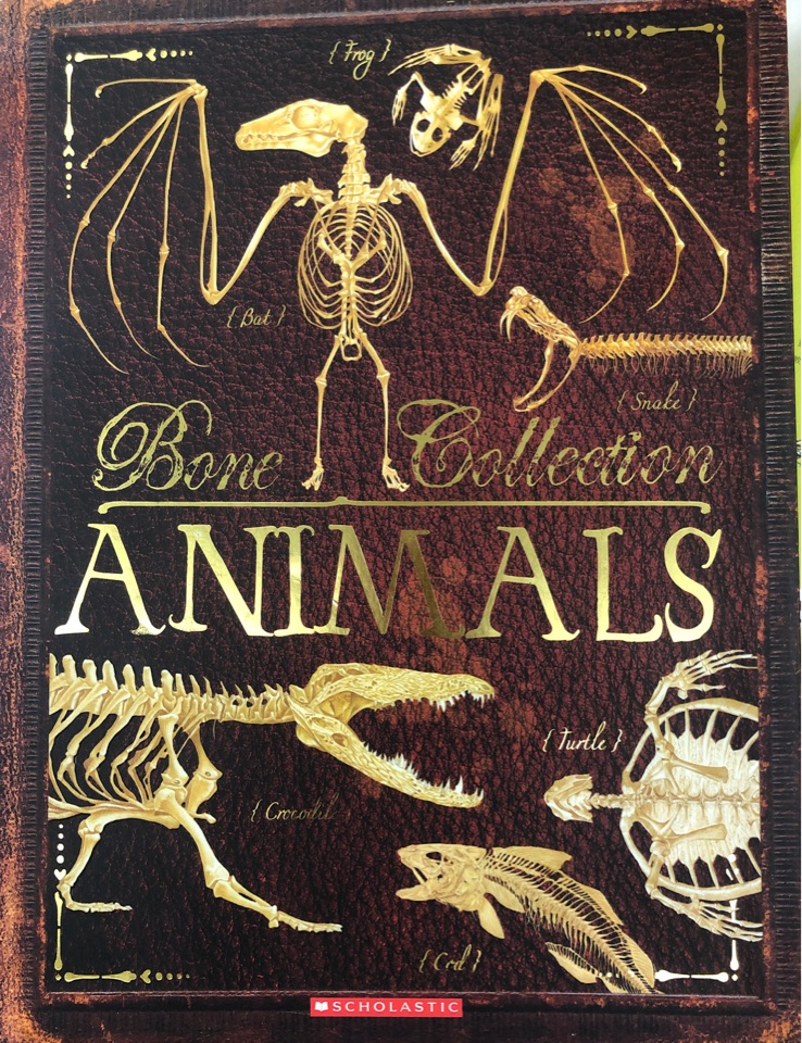 Bone Collection-Animals