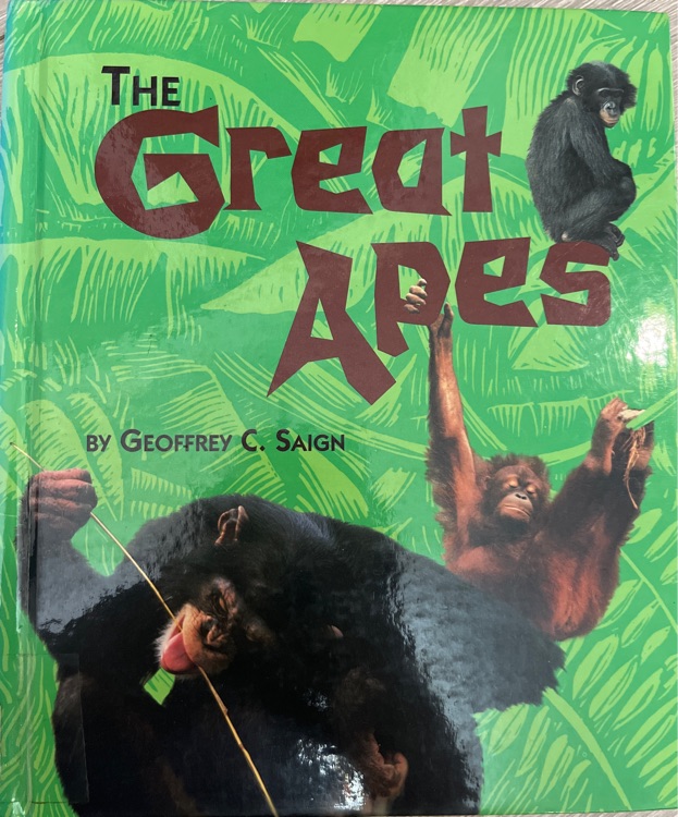 The Great Apes