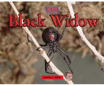 Black Widow