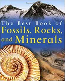 The Best Book of Fossils, Rocks & Mine