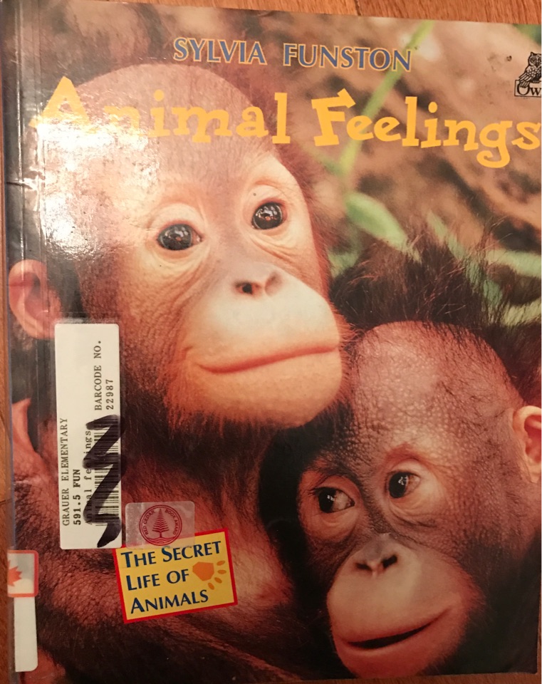 Animal Feelings