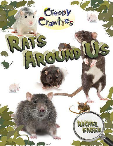 Rats Around Us