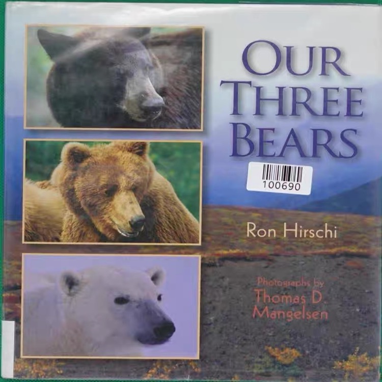 Our Three Bears