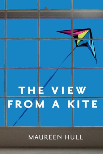View from a Kite