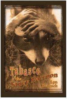 Tabasco the Saucy Raccoon