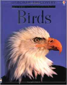 Internet-Linked Birds (Discovery Progr