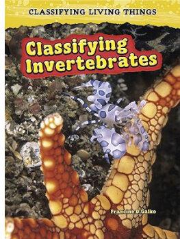 Classifying Invertebrates