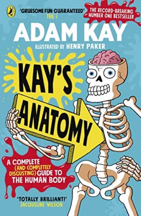 Kay's Anatomy: A Complete (and Complet