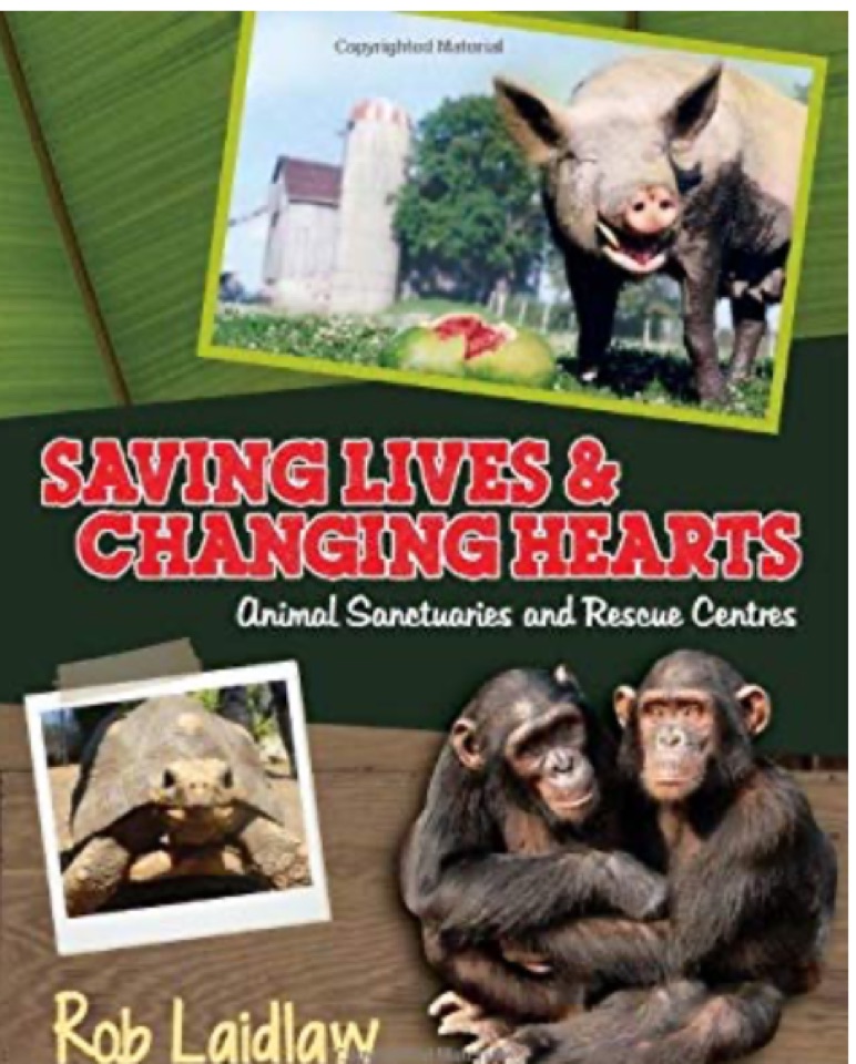 Saving Lives and Changing Hearts: Anim