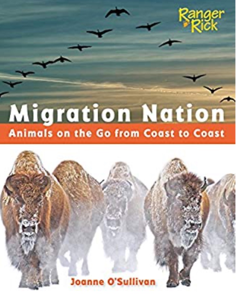Migration Nation (National Wildlife Fe