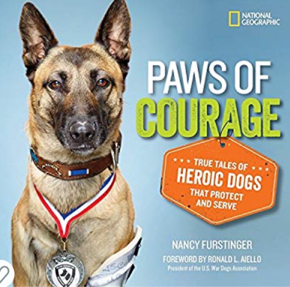Paws of Courage: True Tales of Heroic 