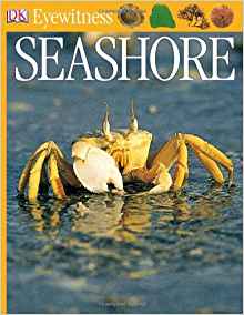 DK Eyewitness Books: Seashore