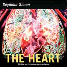 The Heart: All about Our Circulatory S