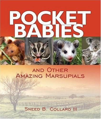 Pocket Babies