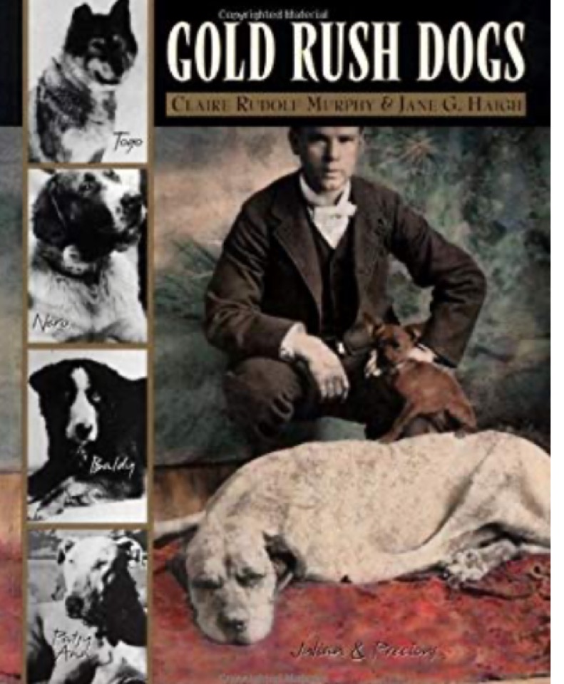 Gold Rush Dogs