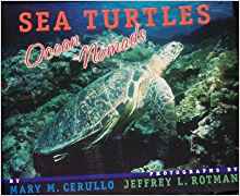 Journeys: Trade Novel Grade 4 Sea Turt