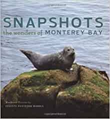 Snapshots: The Wonders of Monterey Bay