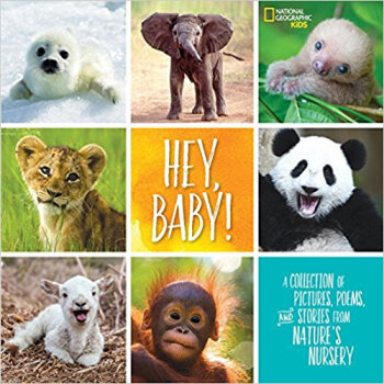 Hey, Baby!: A Collection of Pictures, 