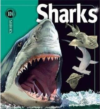 Sharks  鲨鱼    [8岁及以上]