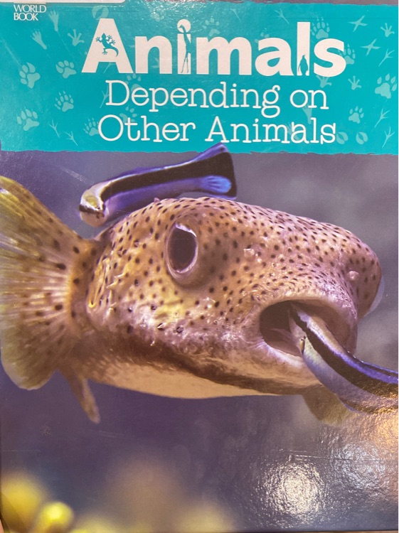 Animals Depending on other animals