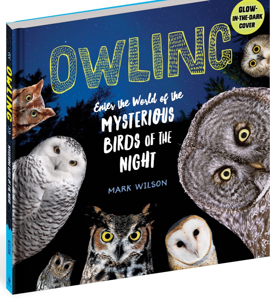 Owling: Enter the World of the Mysteri