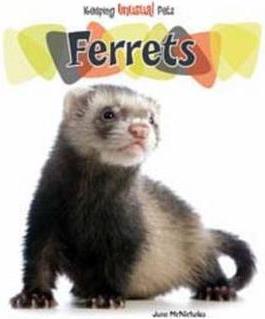 Ferrets